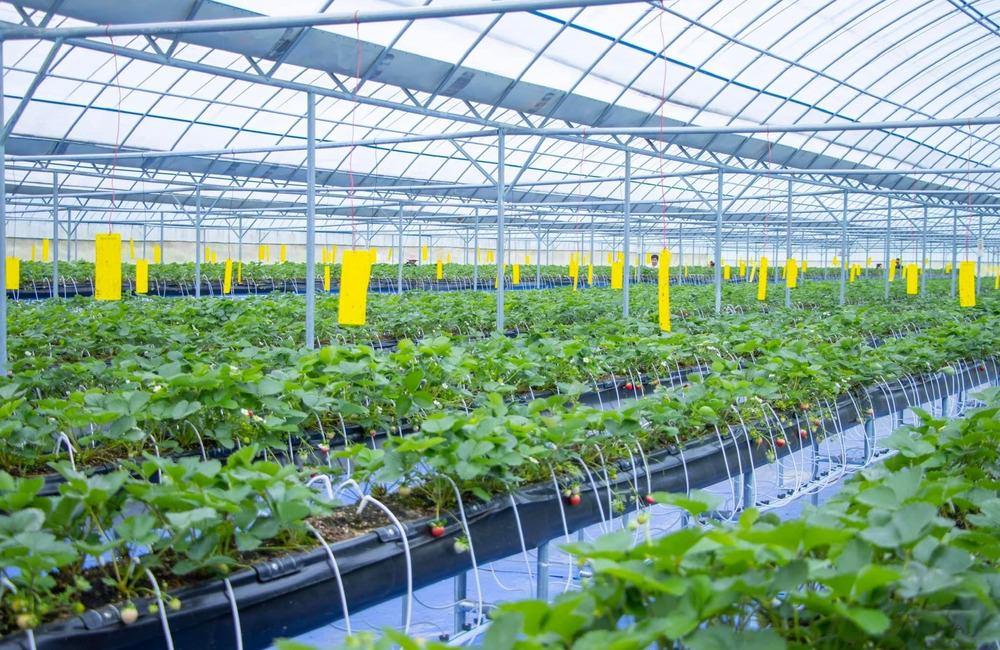 Nền tảng chuyển đổi số cho nông nghiệp thông minh